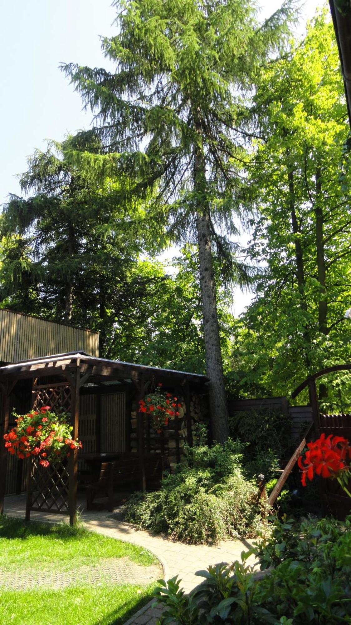 Villa Zosienka Gdańsk Eksteriør billede